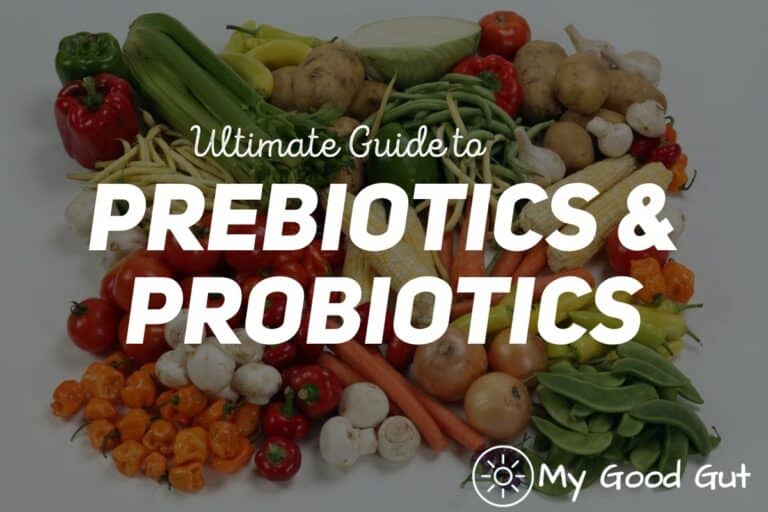 Probiotics vs Prebiotics Ultimate Guide: Key Differences and Benefits