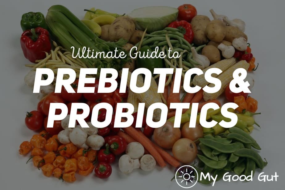 Probiotics vs Prebiotics Ultimate Guide: Key Differences - My Good Gut