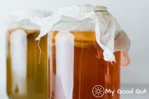 Kombucha vs Yogurt vs Probiotic Supplements