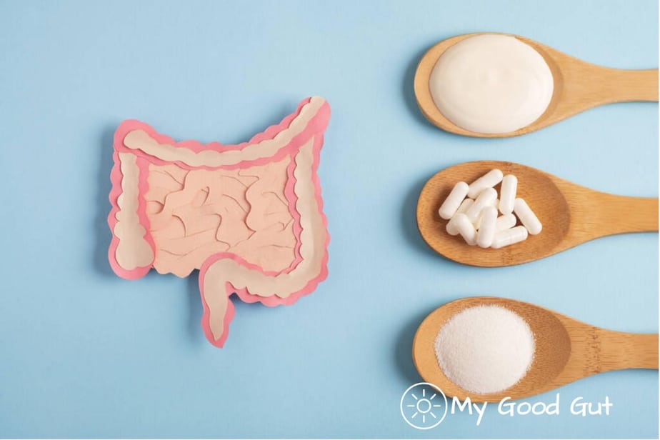 Best Probiotics for IBS