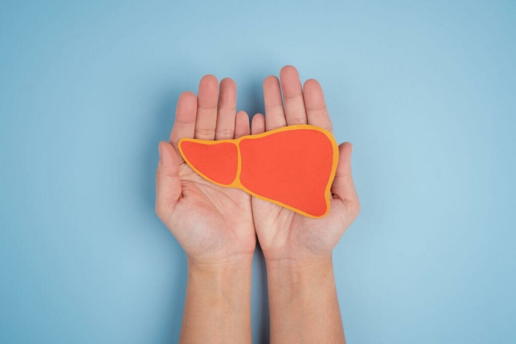 Two hands holding a liver shape on a blue background, representing the significance of liver fibrosis.