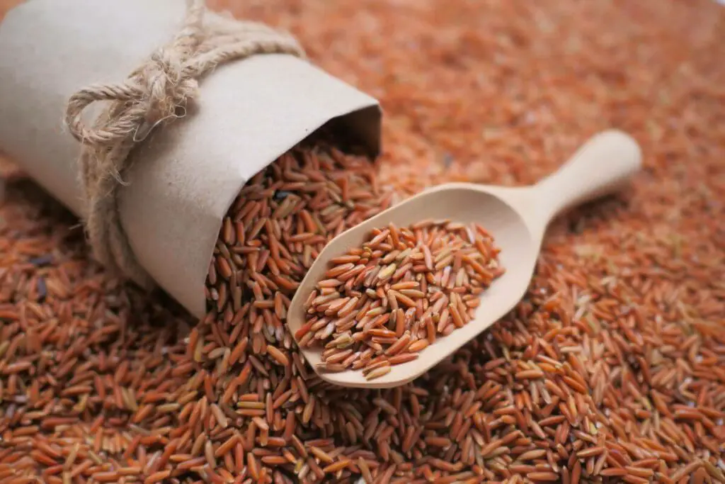 Red rice in a wooden spoon, a healthy snack option for IBS.
