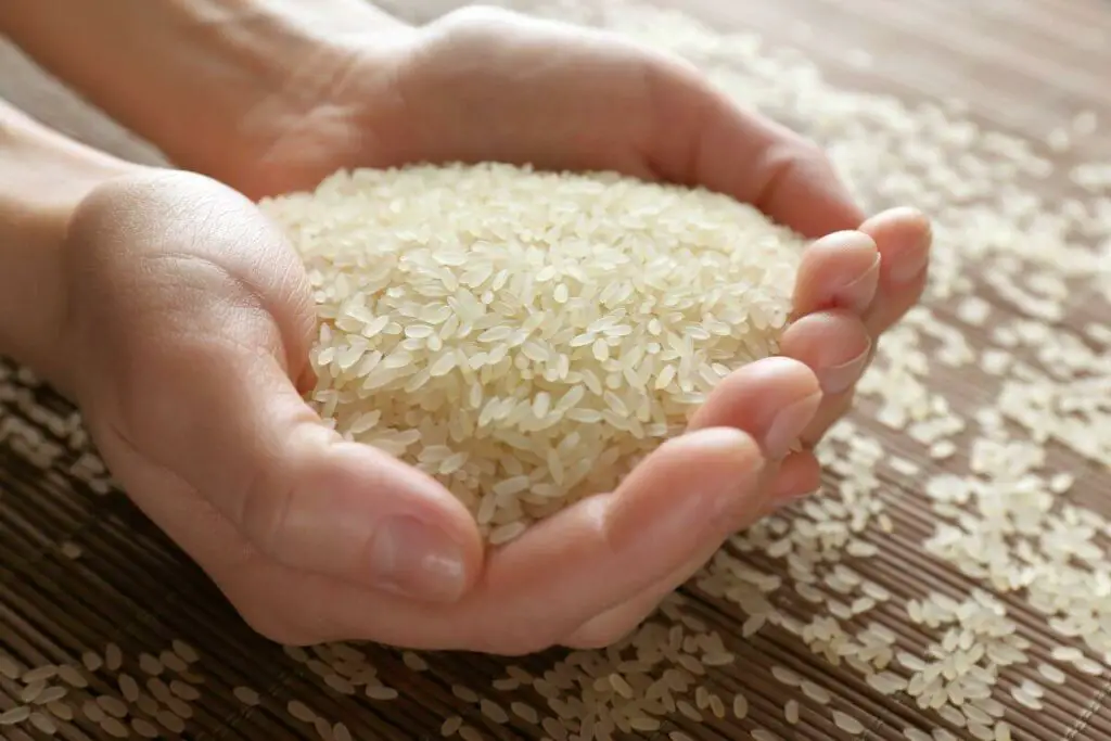 A person's hands holding a bowl of low fodmap grains.