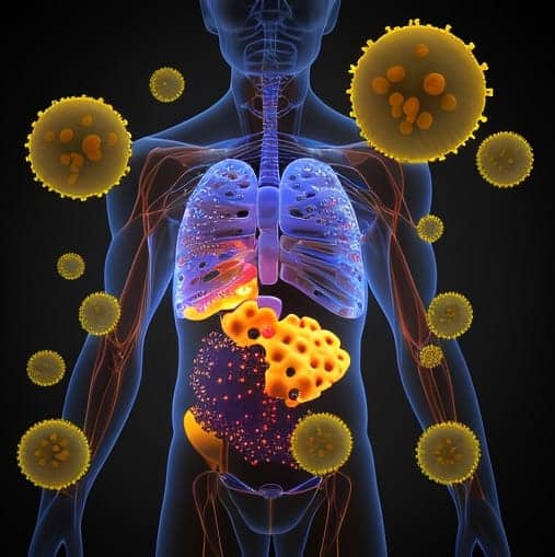 Viral Hepatitis Signs and Symptoms