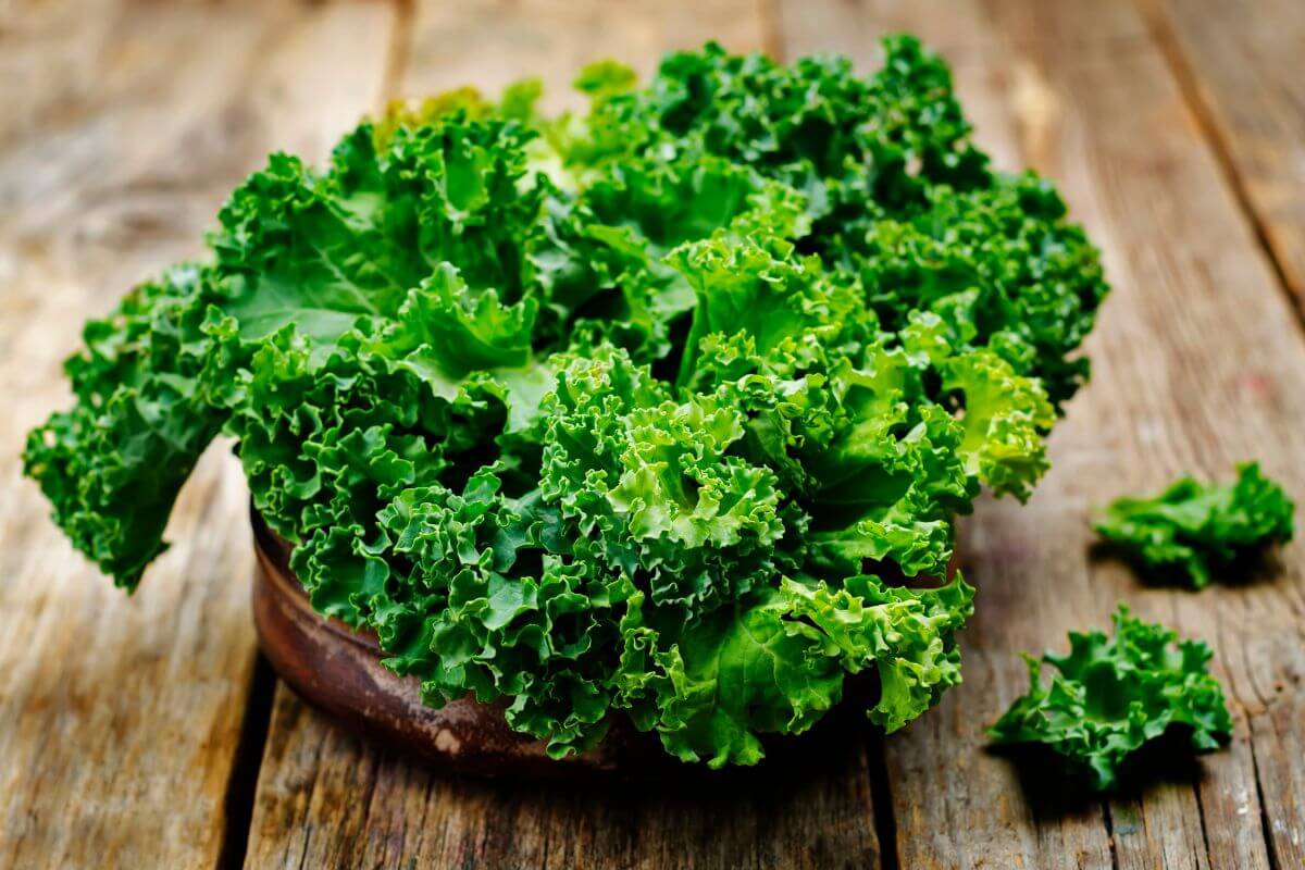 Managing IBS Symptoms with Vegetables and FODMAPs My Good Gut