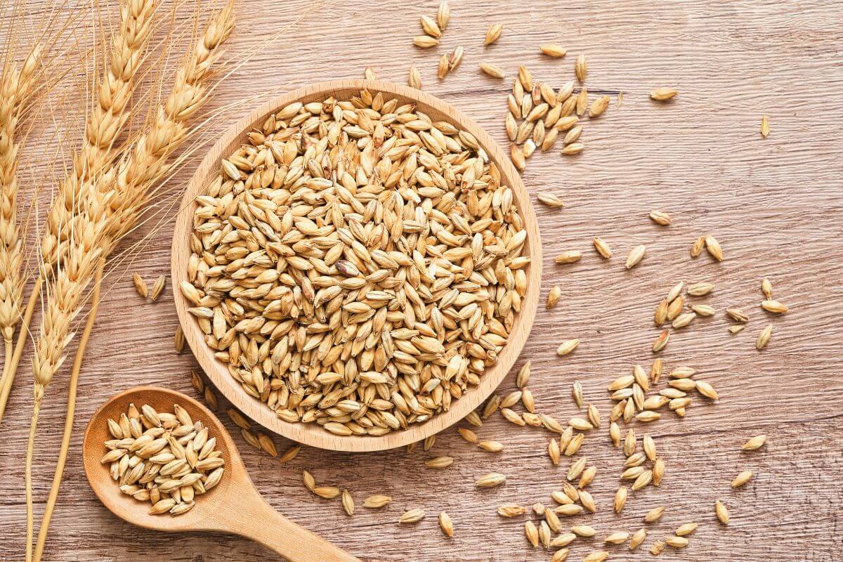 Why Grains with FODMAPs Might Cause IBS FlareUps My Good Gut
