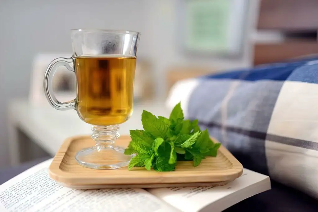 A cup of tea with mint leaves, one of the best drinks for IBS, on top of a book.