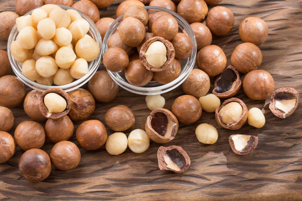 Best Healthy Snacks for IBS Sufferers and What to Avoid My Good Gut