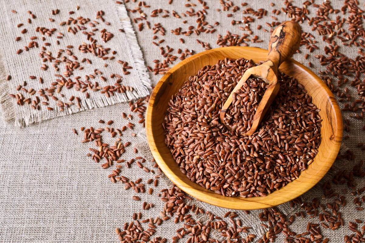 Why Grains with FODMAPs Might Cause IBS FlareUps My Good Gut