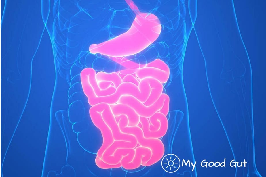 Bowel Transit Time Tests And Tips My Good Gut