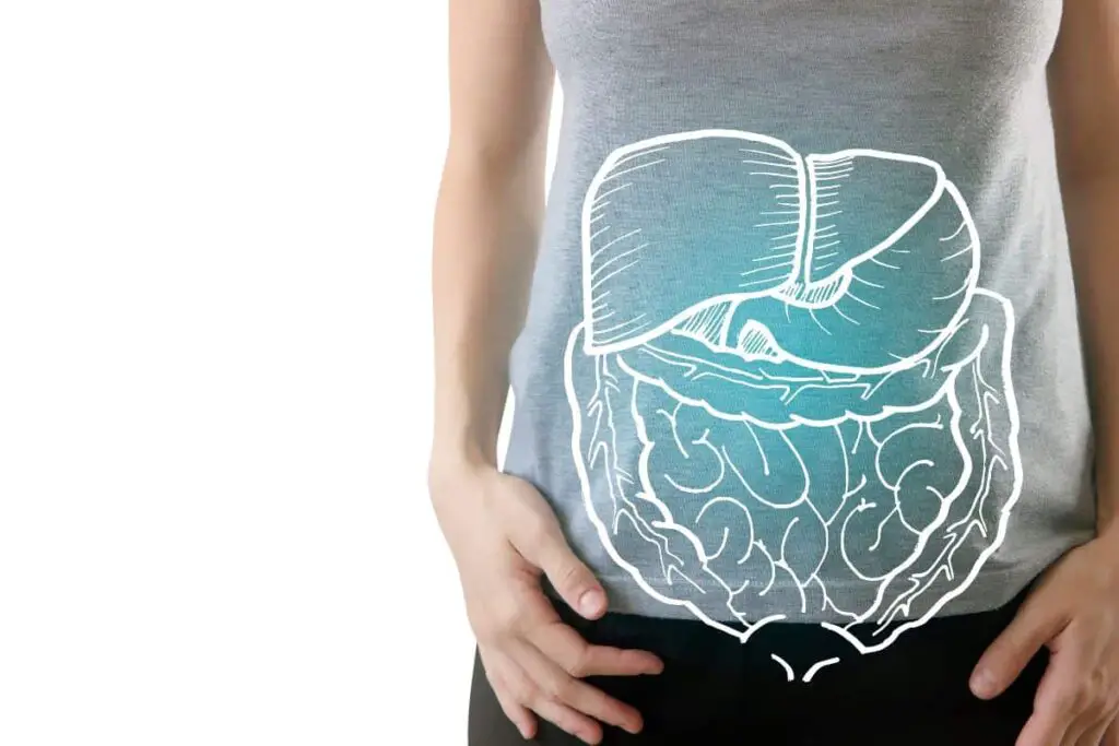 A woman demonstrating the probiotic benefits by holding an illustration of her stomach, highlighting how it aids in improving gut health.