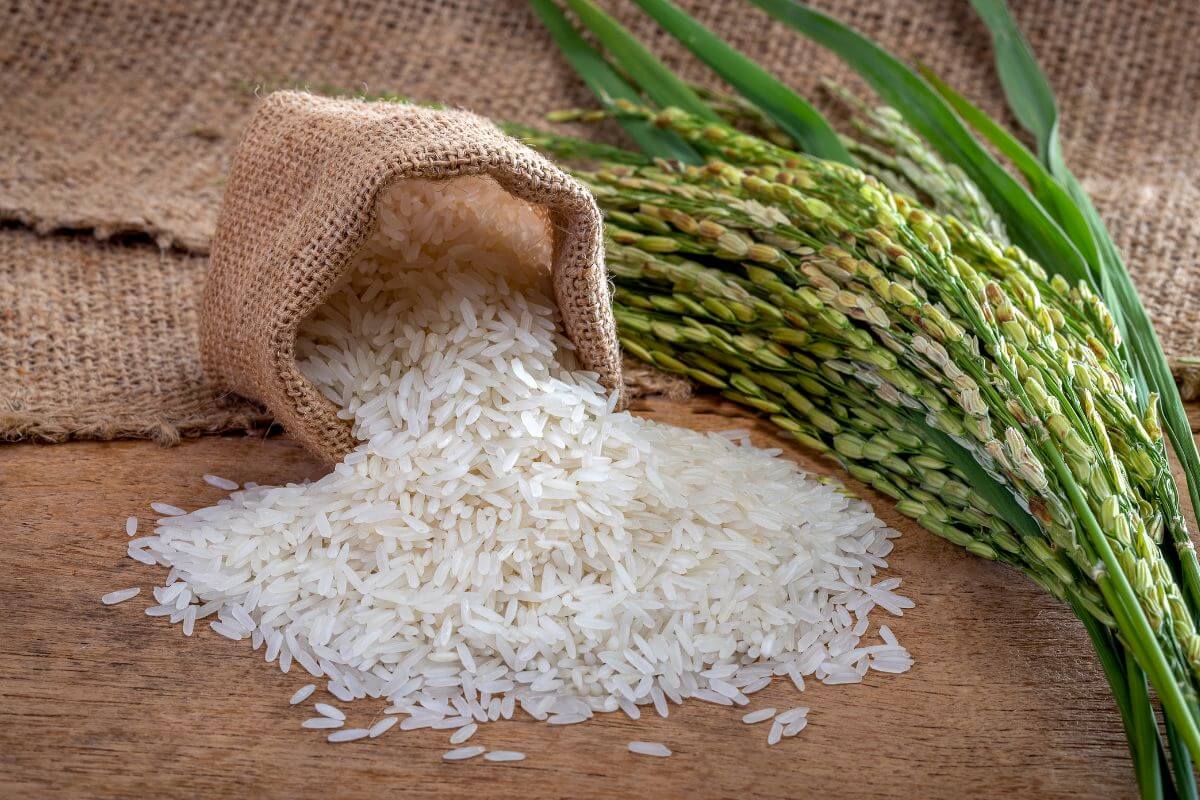 Whole grain rice in a sack on a wooden table.
