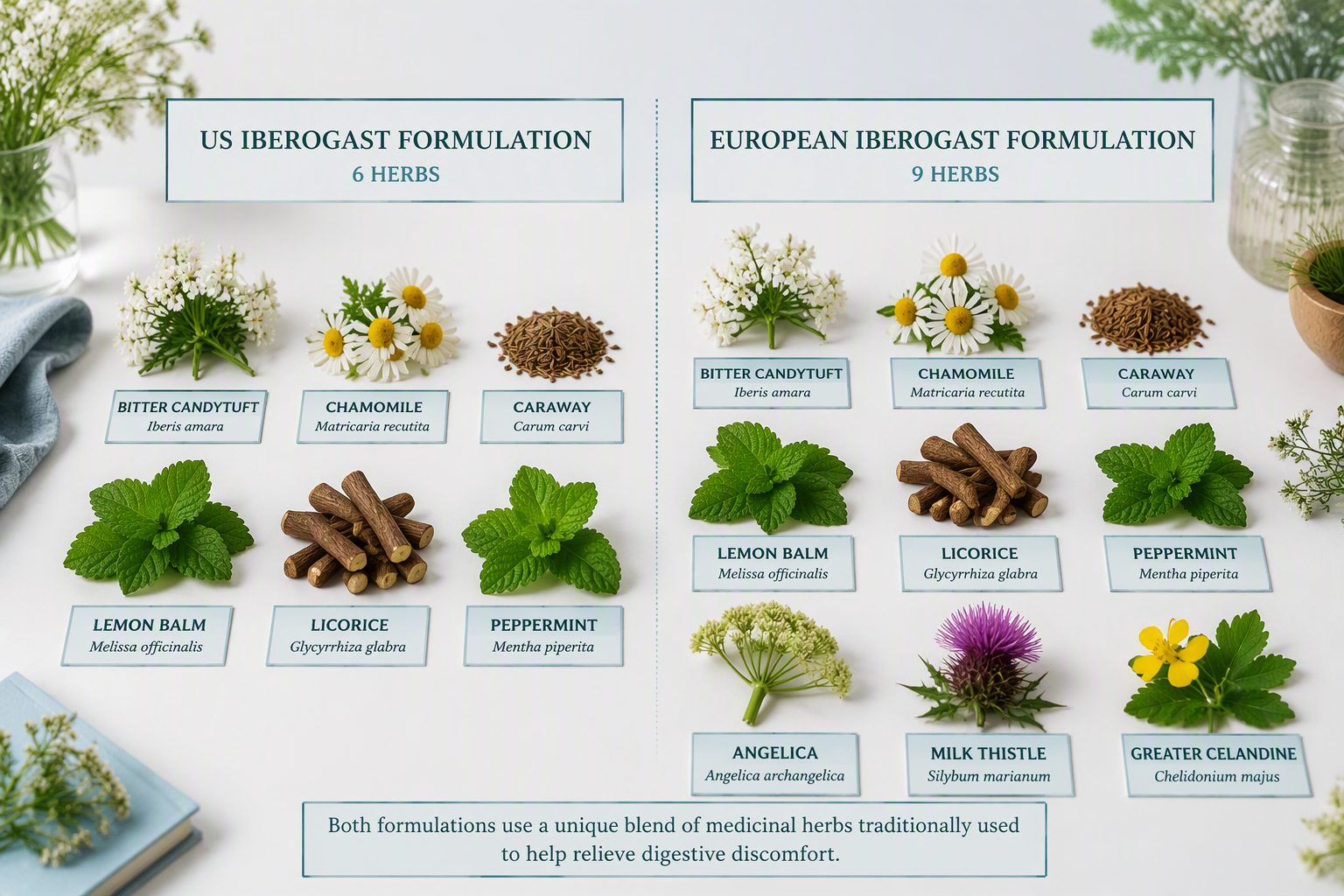 Comparison of six-herb US and nine-herb European Iberogast formulations