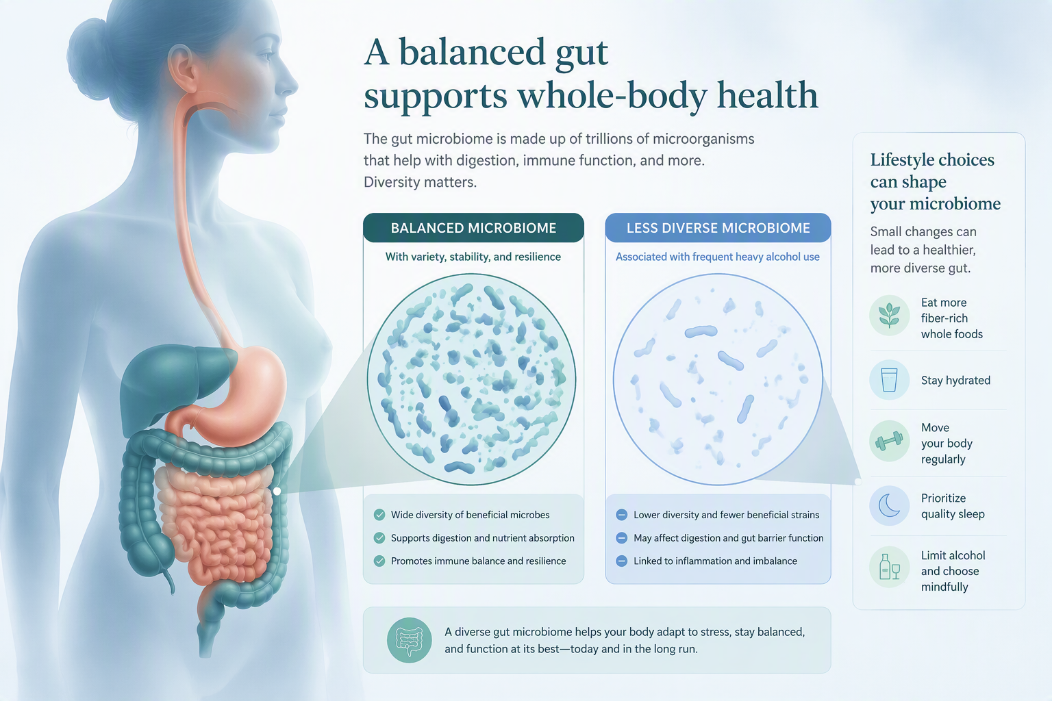 Gut microbiome changes and intestinal barrier effects of alcohol