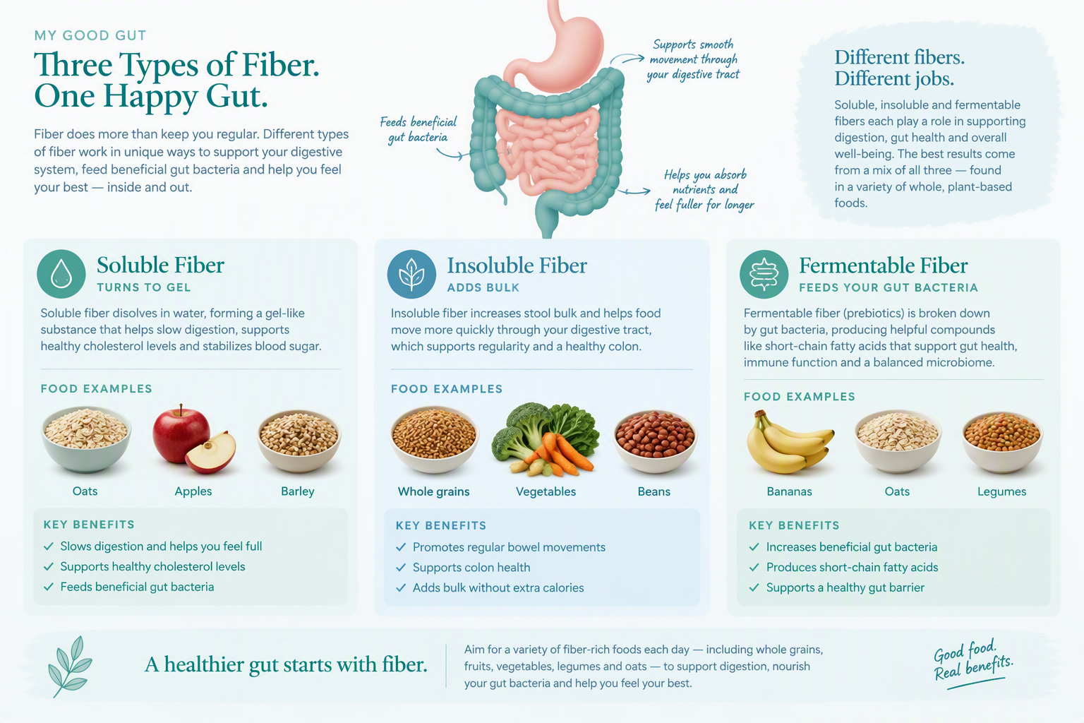 Soluble, insoluble, and fermentable fiber foods supporting digestion