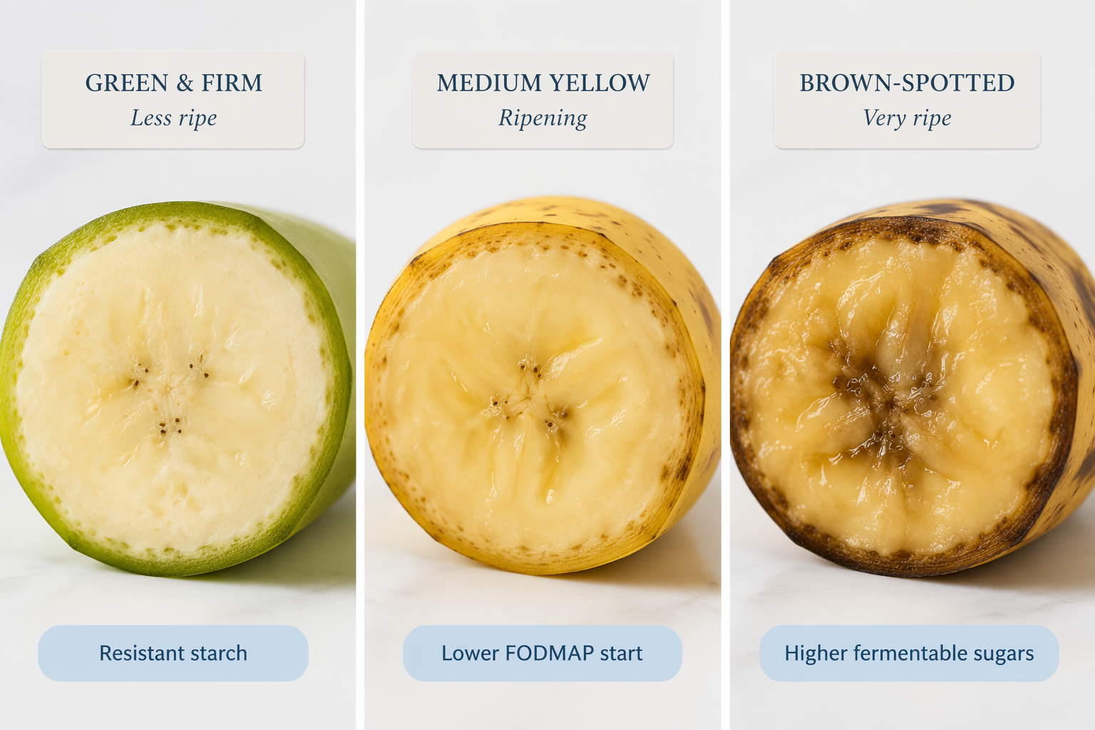 Three banana cross-sections showing green, medium, and very ripe stages with FODMAP notes