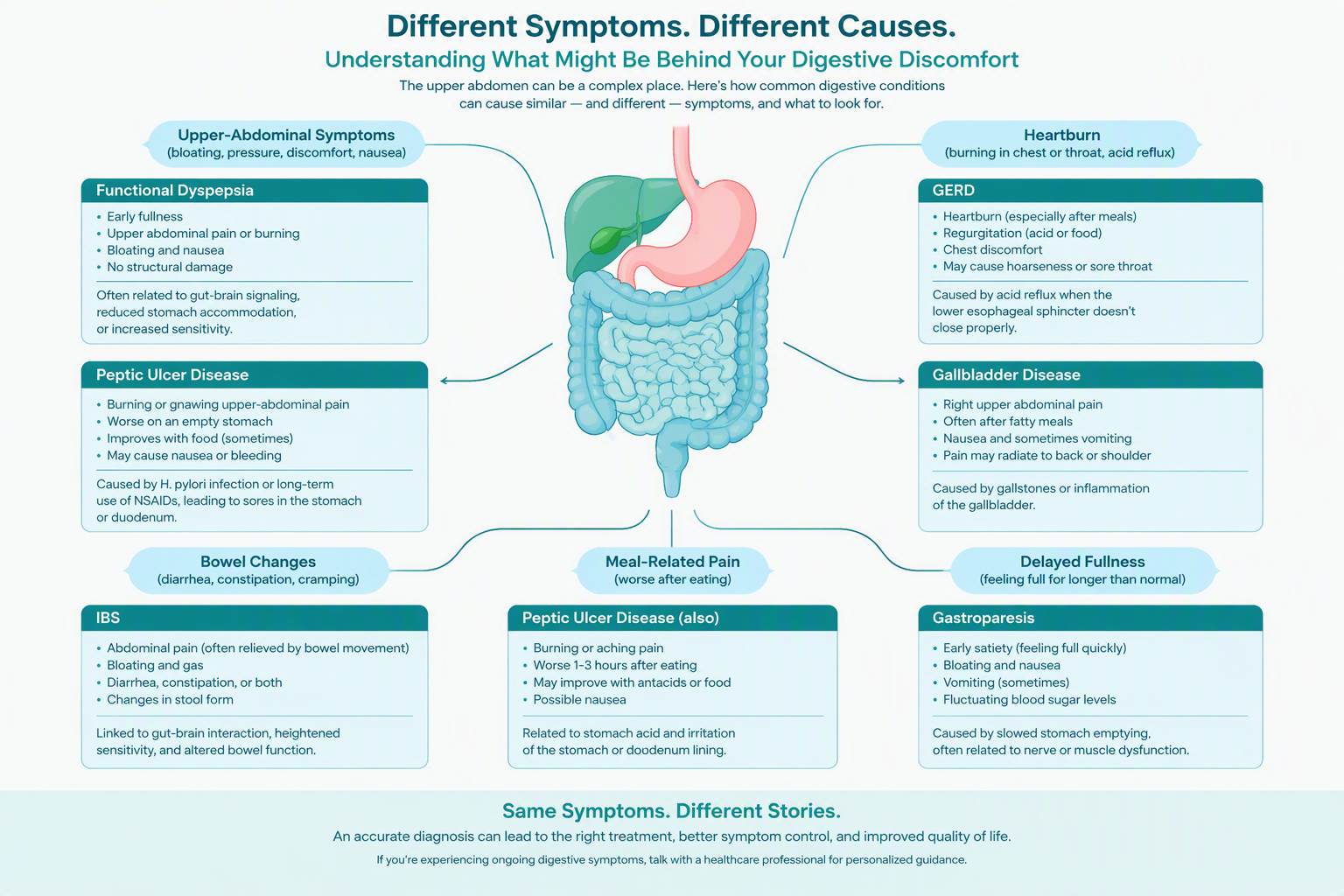 Functional dyspepsia differential diagnosis compared with IBS, GERD, and ulcers