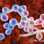 IBS and Candida - What's the Connection?