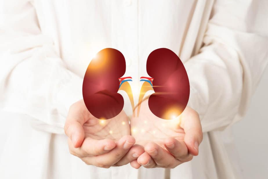 Kidney Disease