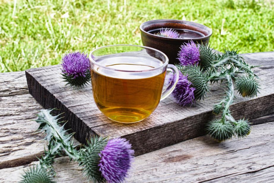 Milk Thistle and Tea