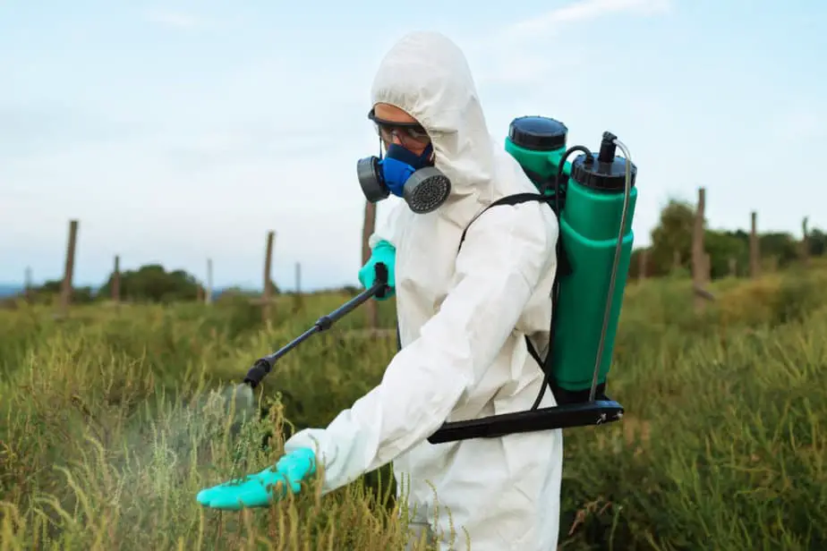 Pesticides in Food and the Health Risks