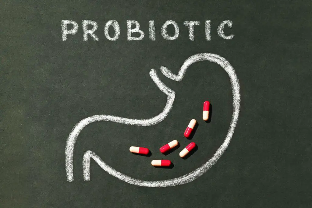 The word probiotic, known for its numerous benefits in improving gut health, is elegantly drawn on a chalkboard.