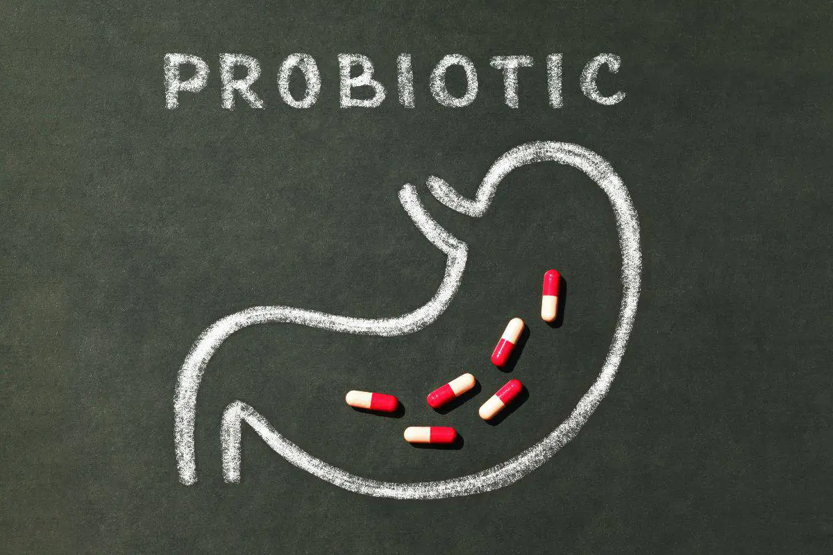The word probiotic, known for its numerous benefits in improving gut health, is elegantly drawn on a chalkboard.