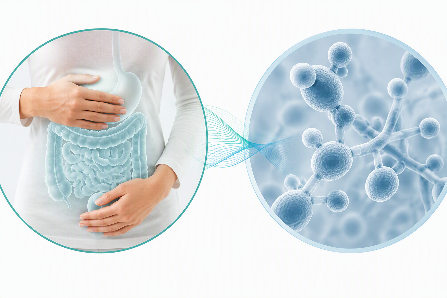 IBS and Candida albicans comparison showing gut function and harmless yeast