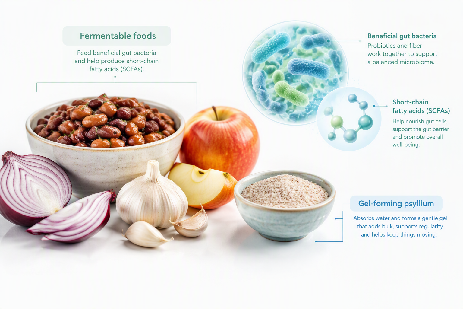 Fermentable soluble fiber foods, gut bacteria, gas, and psyllium comparison