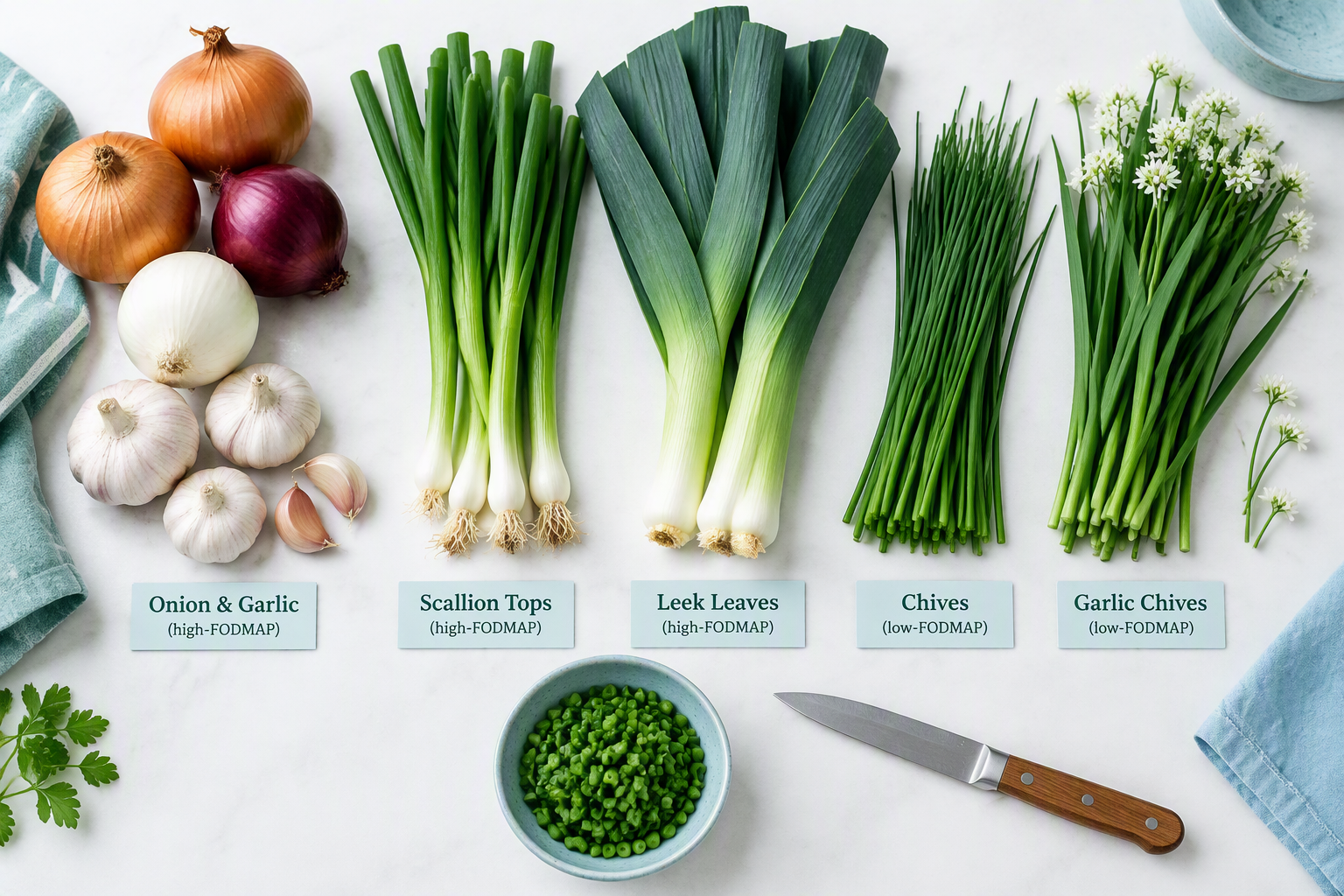 Onion and garlic bulbs compared with low-FODMAP scallion, leek greens, and chives