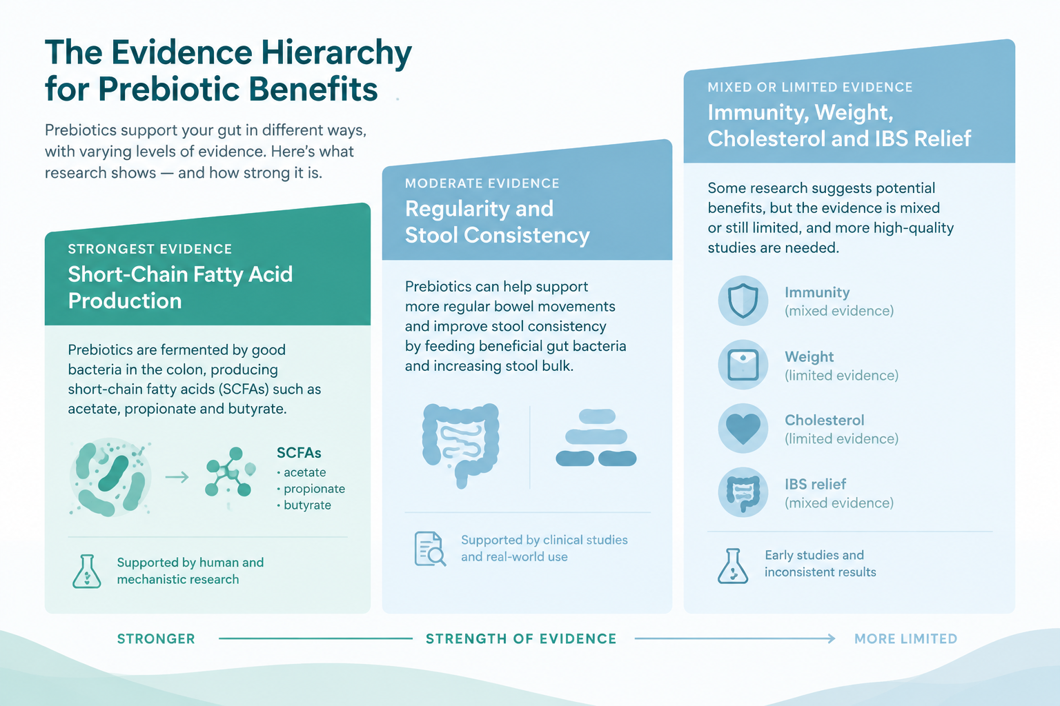 Evidence-based prebiotic benefits include short-chain fatty acids and regularity