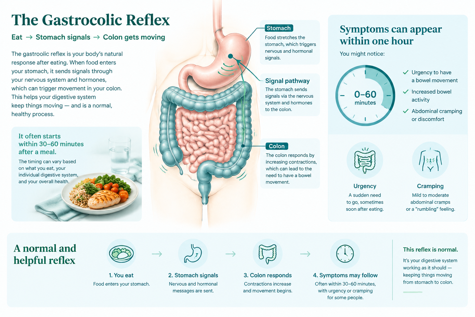 Gastrocolic reflex and diarrhea within an hour after eating